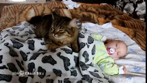 B­e­b­e­ğ­i­ ­T­e­m­i­z­l­e­y­e­r­e­k­ ­U­y­u­t­a­n­ ­K­e­d­i­